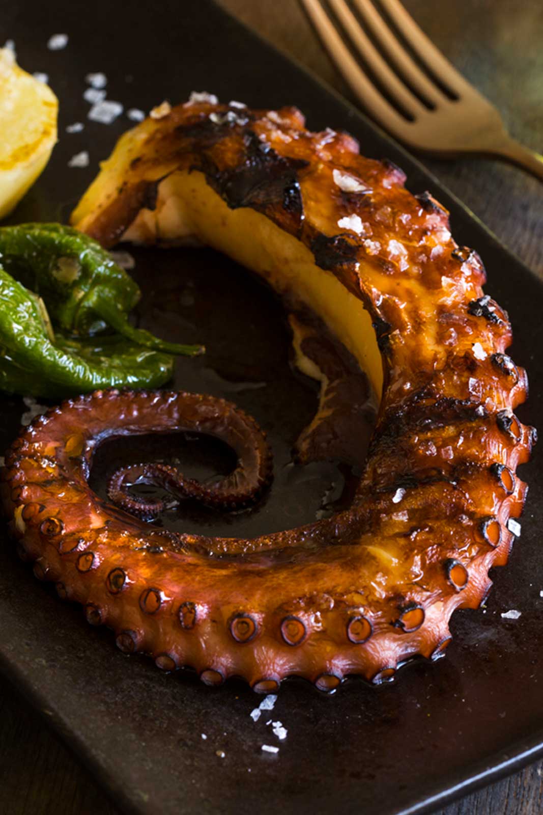 pulpo-brasas-patron